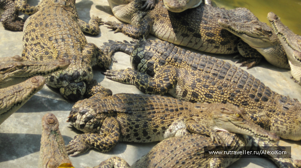 photo 659963