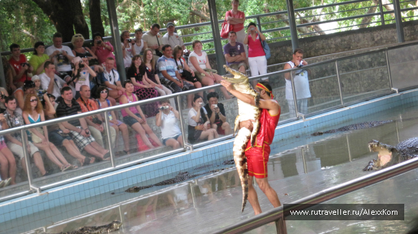 photo 659967