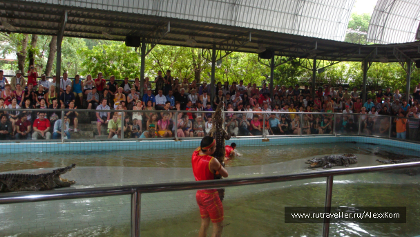 photo 659974