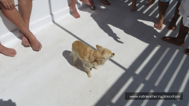 photo 673057