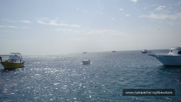photo 661962