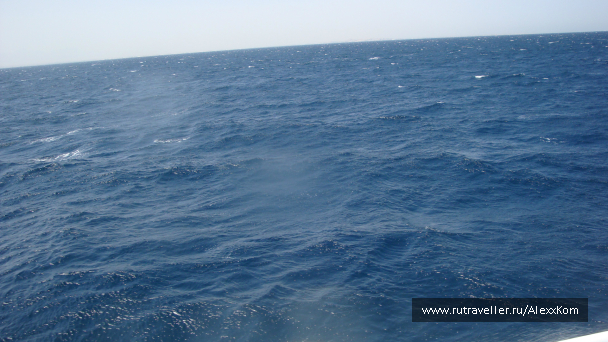 photo 661969