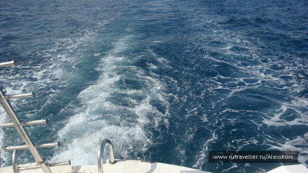 photo 661984
