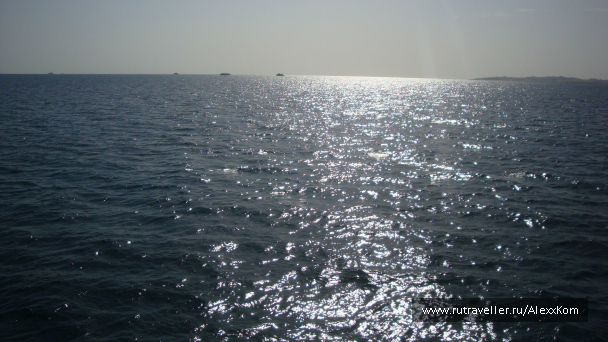 photo 661985