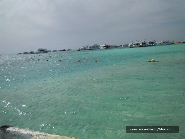 photo 662015