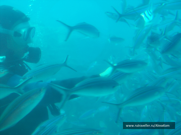 photo 658054
