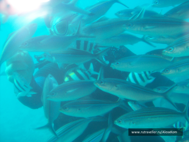 photo 658055