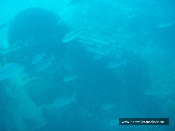 photo 662531
