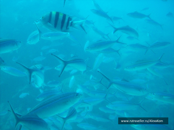 photo 662532