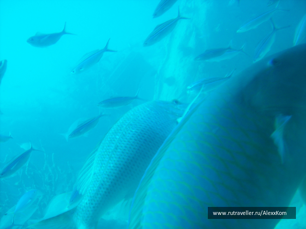 photo 662535