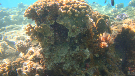 photo 662215