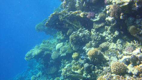 photo 662224