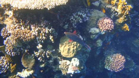 photo 662249