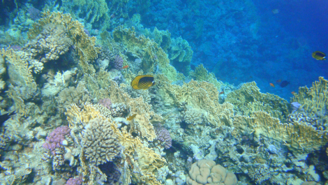 photo 662263