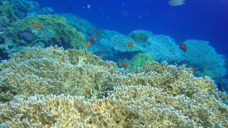 photo 662264