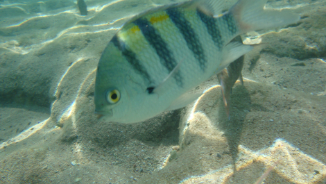 photo 662265
