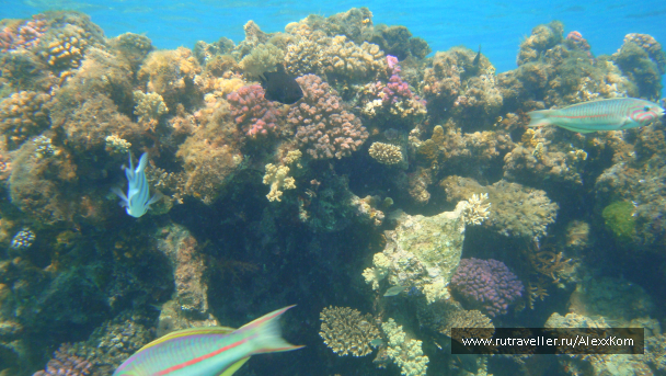 photo 662393