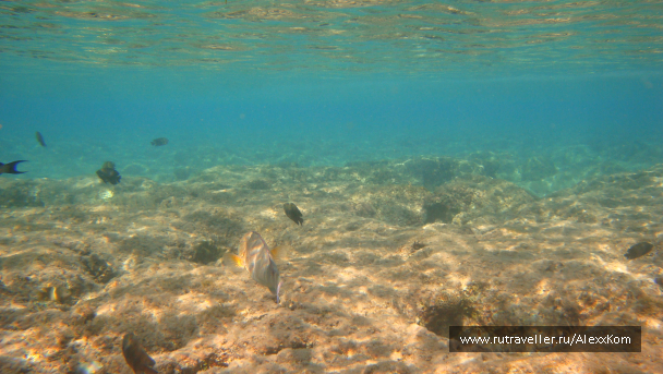 photo 662405