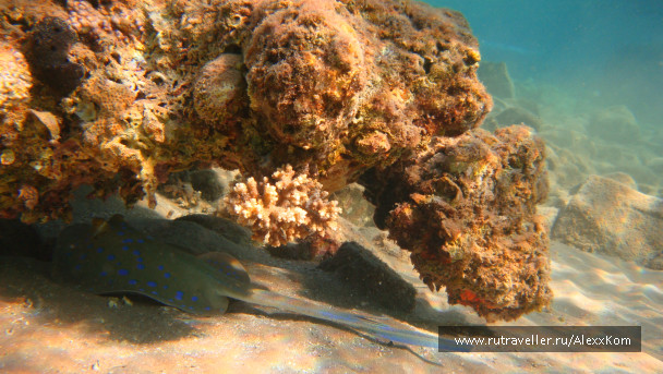photo 662412