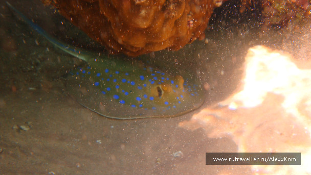photo 662421