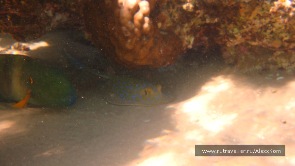 photo 662422