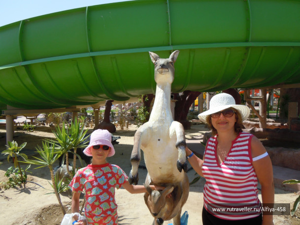 photo 499422