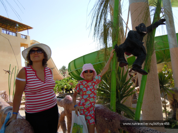 photo 499425