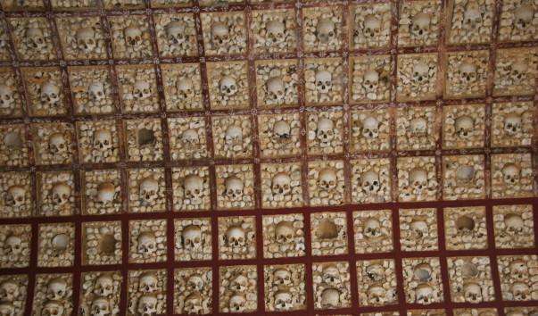 potolok