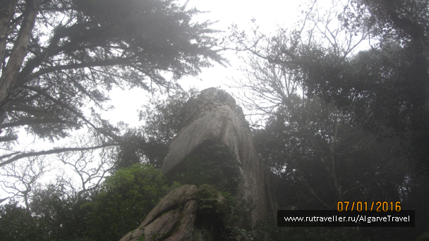photo 1203160