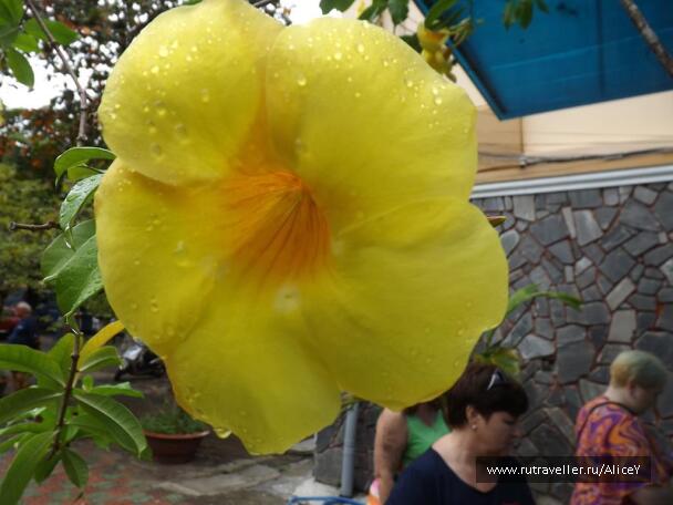 photo 1343316