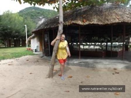 photo 1343322