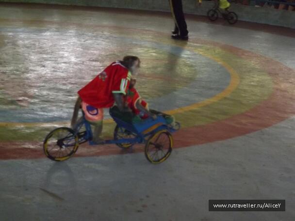 photo 1343326
