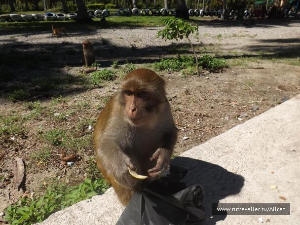 photo 1343333