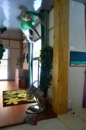 photo 1341891