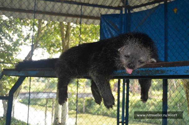 photo 1343401