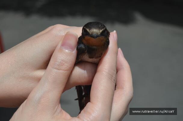 photo 1343424