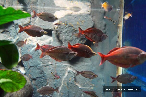 photo 1343441