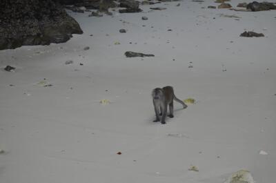 photo 1343263