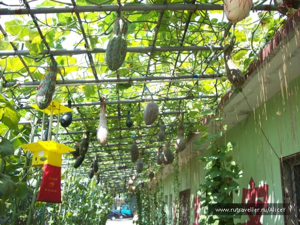 photo 1343685