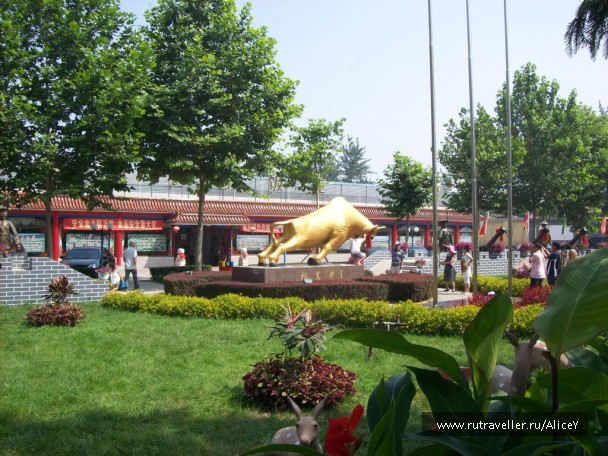 photo 1343686