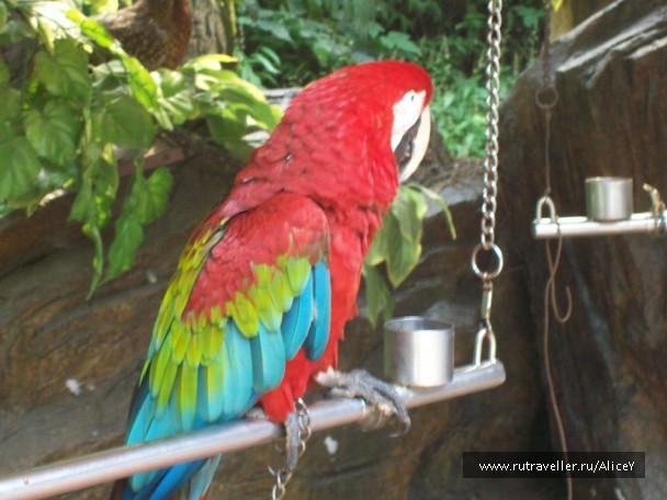 photo 1343690
