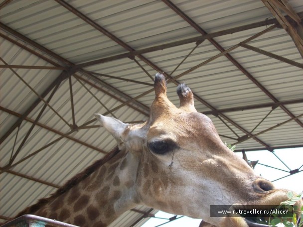 photo 1343717