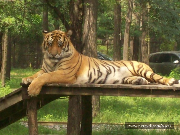 photo 1343719