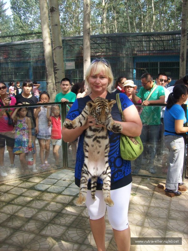 photo 1343720