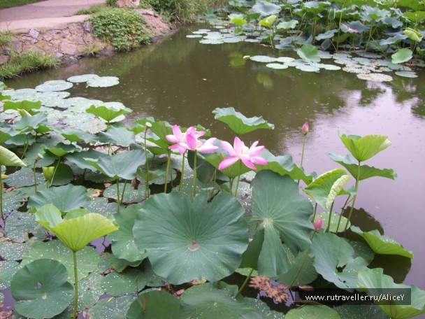 photo 1343741