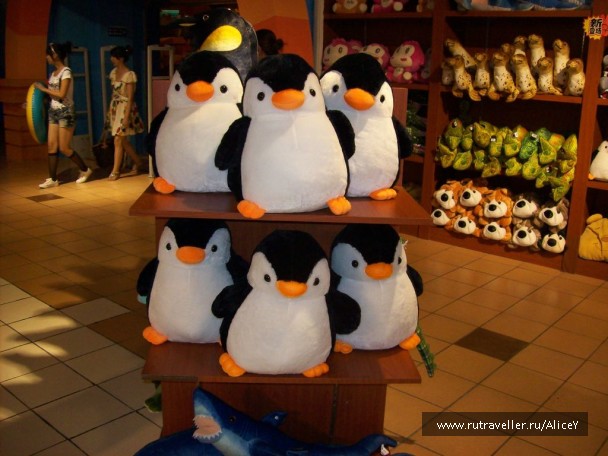 photo 1343747