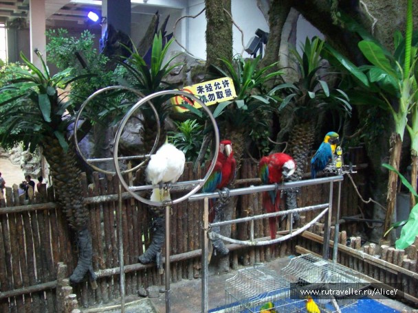 photo 1343751