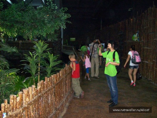 photo 1343752