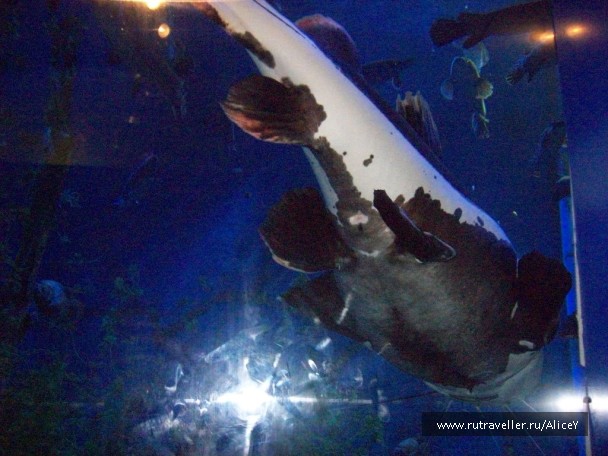 photo 1343756