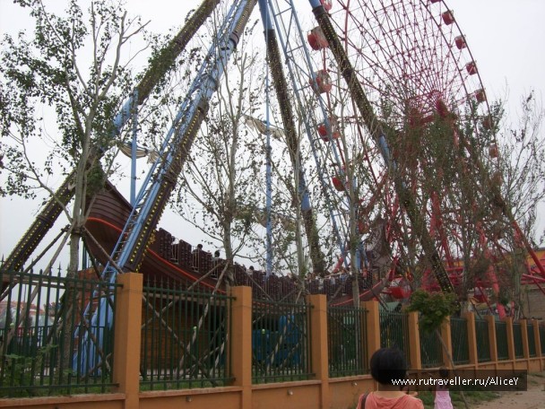 photo 1343770